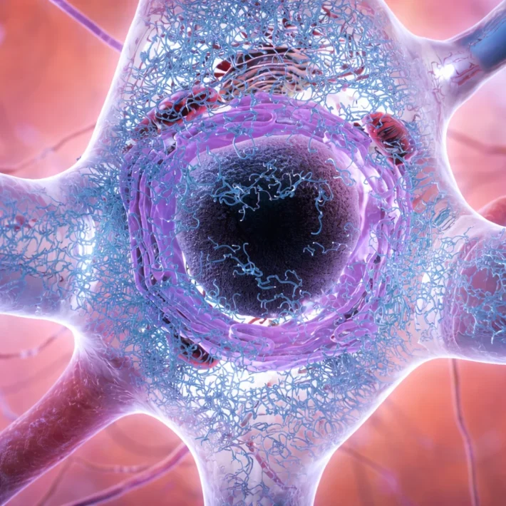 Illustration showing how stress impacts brain health and kills brain cells.